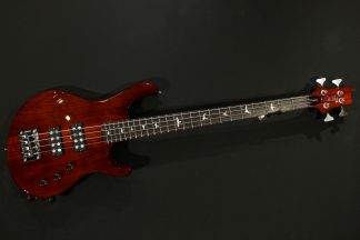 PRS SE Kingfisher Tortoise
