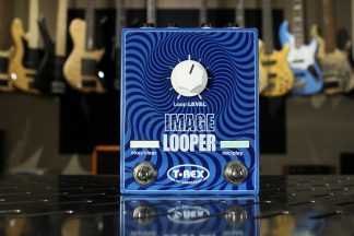 T-Rex Image Looper